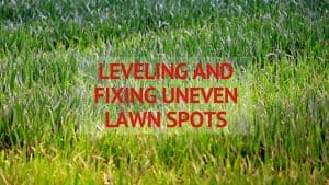 Leveling and Fixing Uneven Spots in Your Lawn