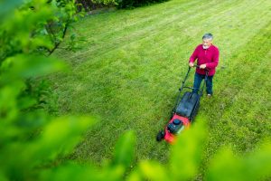 How to avoid lawn mower mishaps