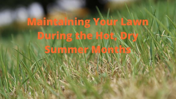 Maintaining Your Lawn During Hot, Dry Months