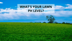 What's Your Lawn pH Level?