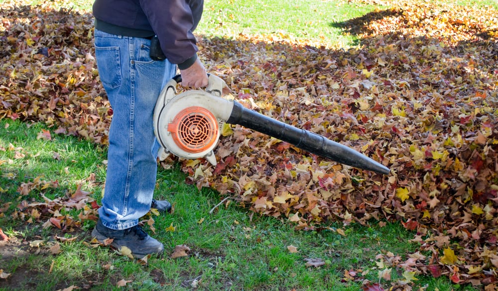 Equipment to Help You With Fall Cleanup