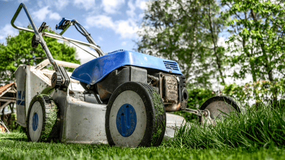 5 Questions to Ask When Choosing a Lawn Care Service
