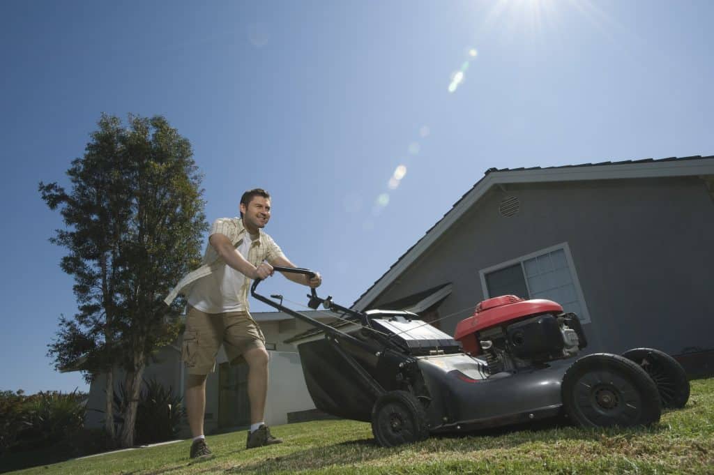 Reasons to Schedule Lawn Service Early