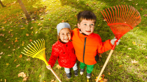 10 Tips For a Successful Fall Cleanup