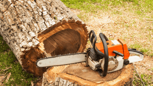 4 important measures to take to ensure your chainsaw is ready to go