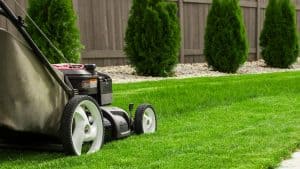 Questions to Ask When Choosing a Lawn Care Service