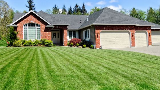 5 Tips for a Picture Perfect Lawn