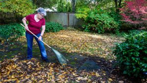 Fall yard cleanup: Tips and tricks to get your yard ready for winter