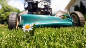 Tips on how to get your lawnmower ready for Spring