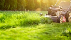Protecting Your Summer Lawn: Preventing and Treating Three Common Lawn Diseases