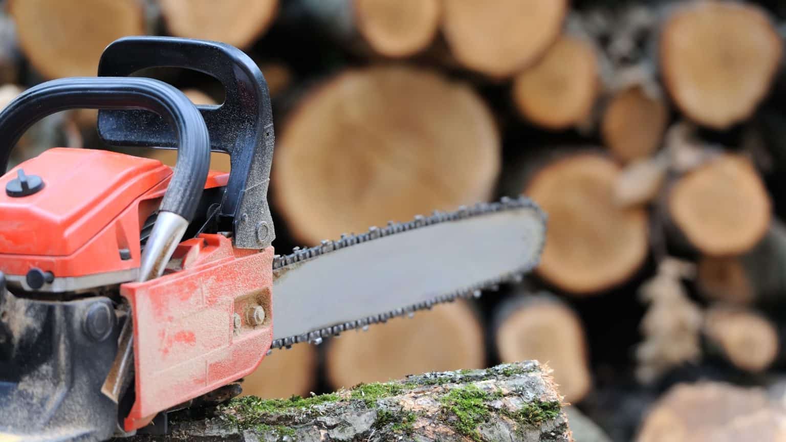 Mastering the Art of Chainsaw Safety: A Comprehensive Guide - Snappy's ...