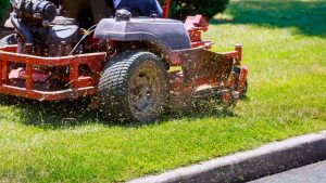 Mowing Mastery: A Guide to Safe and Sound Lawn Maintenance