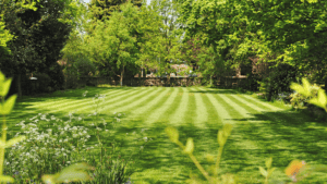 Mowing Matters: Best Practices for Spring Lawn Mowing to Promote Growth