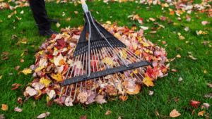 Simplifying Fall Cleanup: Tips and Tricks