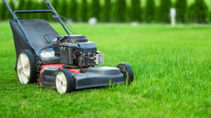 Why you should cut your lawn at 3-inches